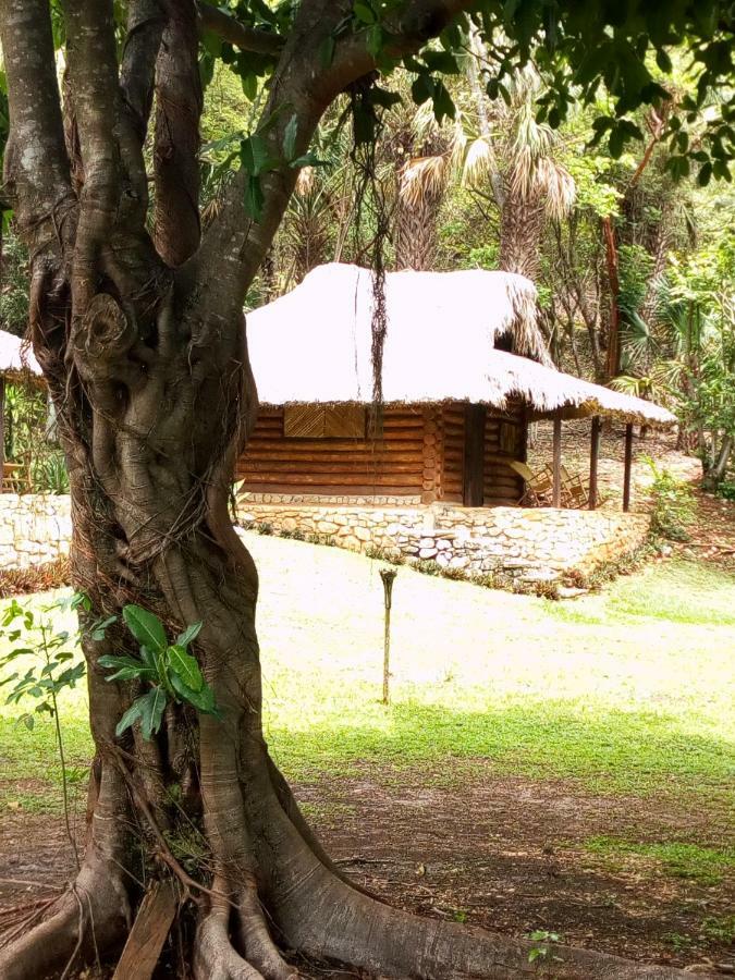 Cabanas Sierraverde Huasteca Potosina'Palo De Rosa Villa Tamasopo Exterior photo